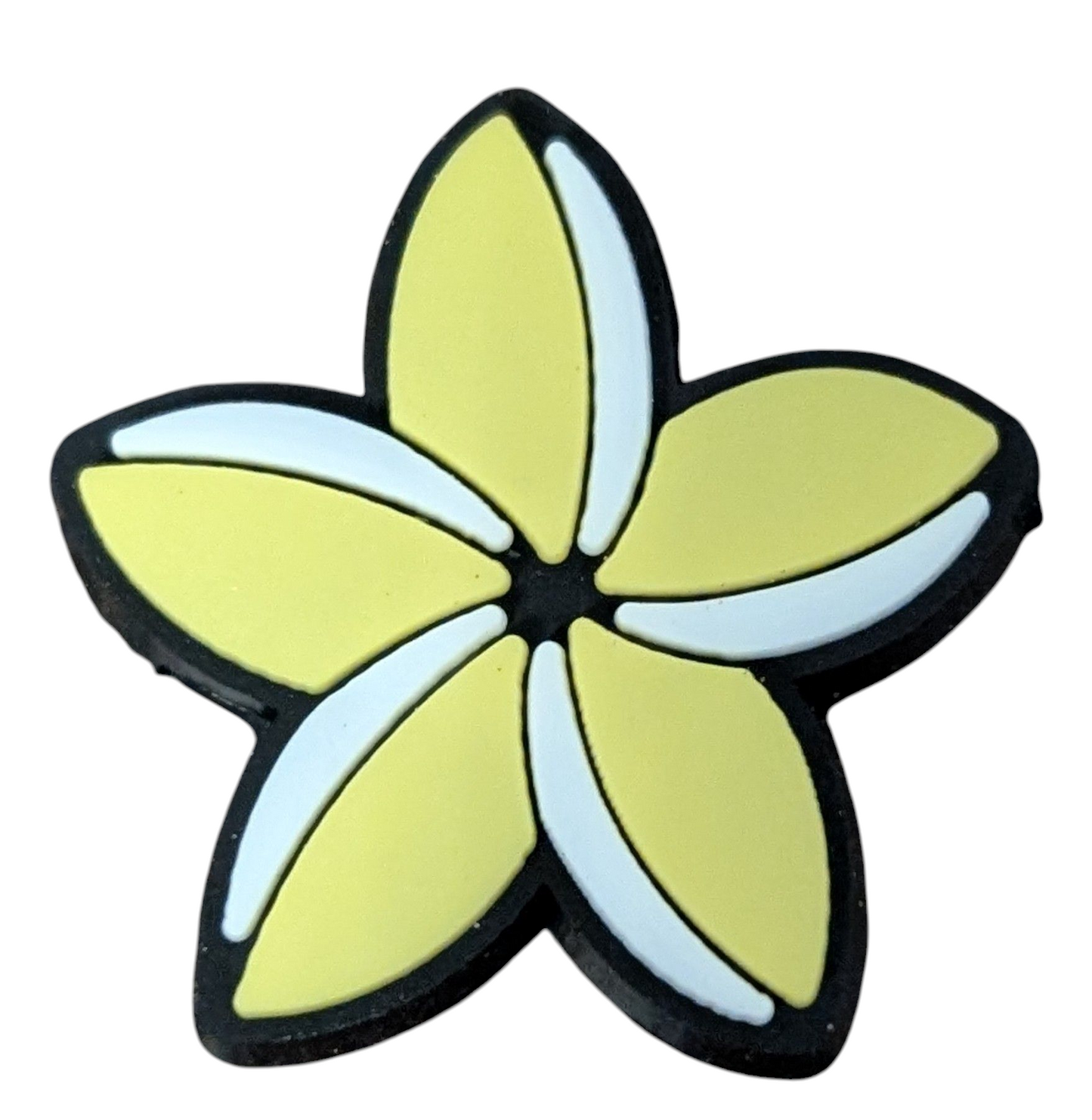 Yellow and White Flower