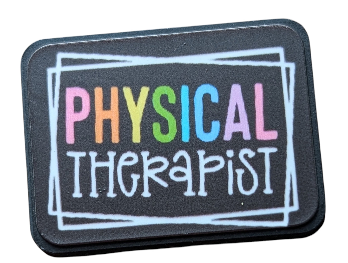 Physical Therapist