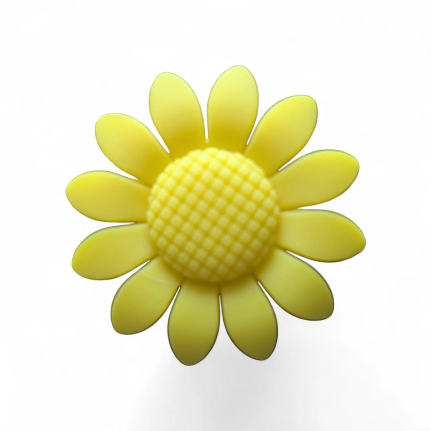 Pink/Yellow Sunflower