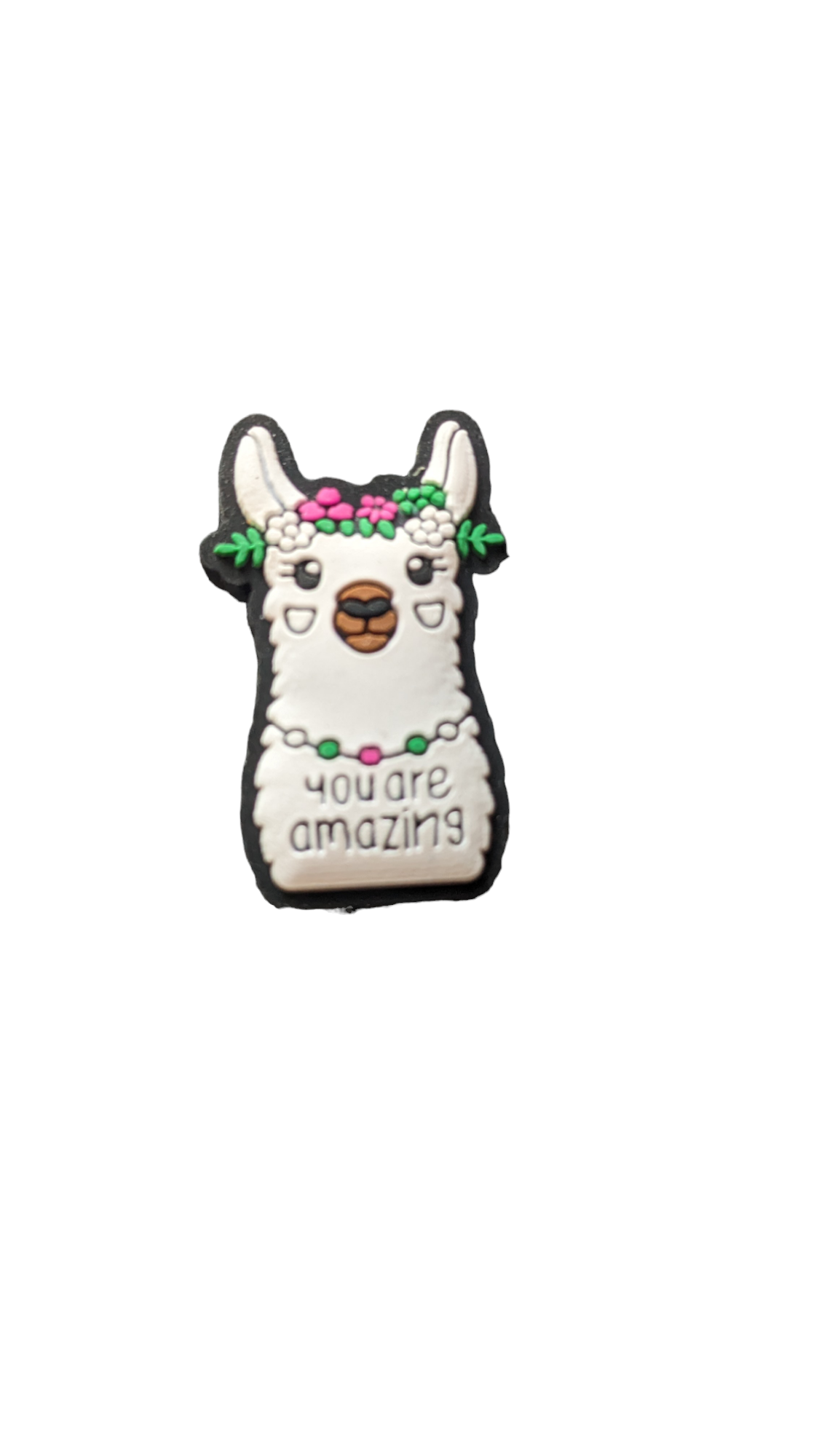 You are Amazing LLama