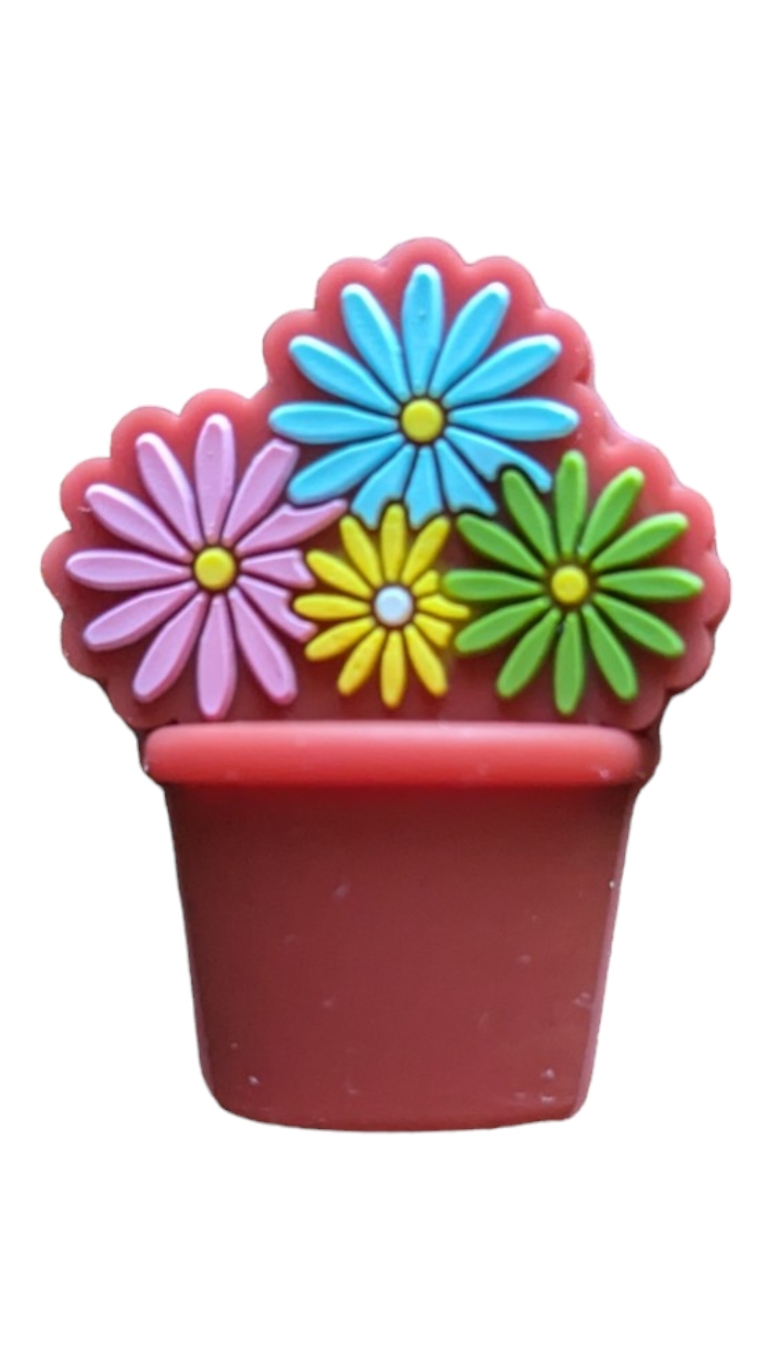 Flower in Pot