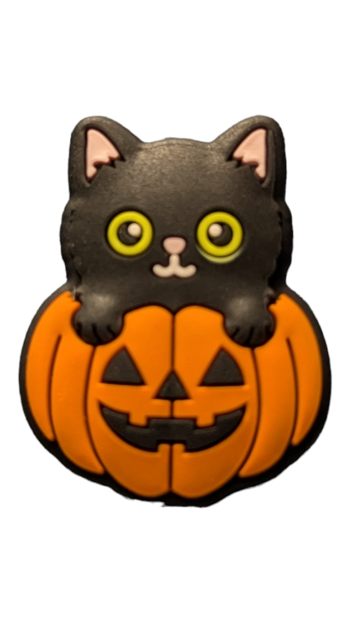 Cat with Pumpkin