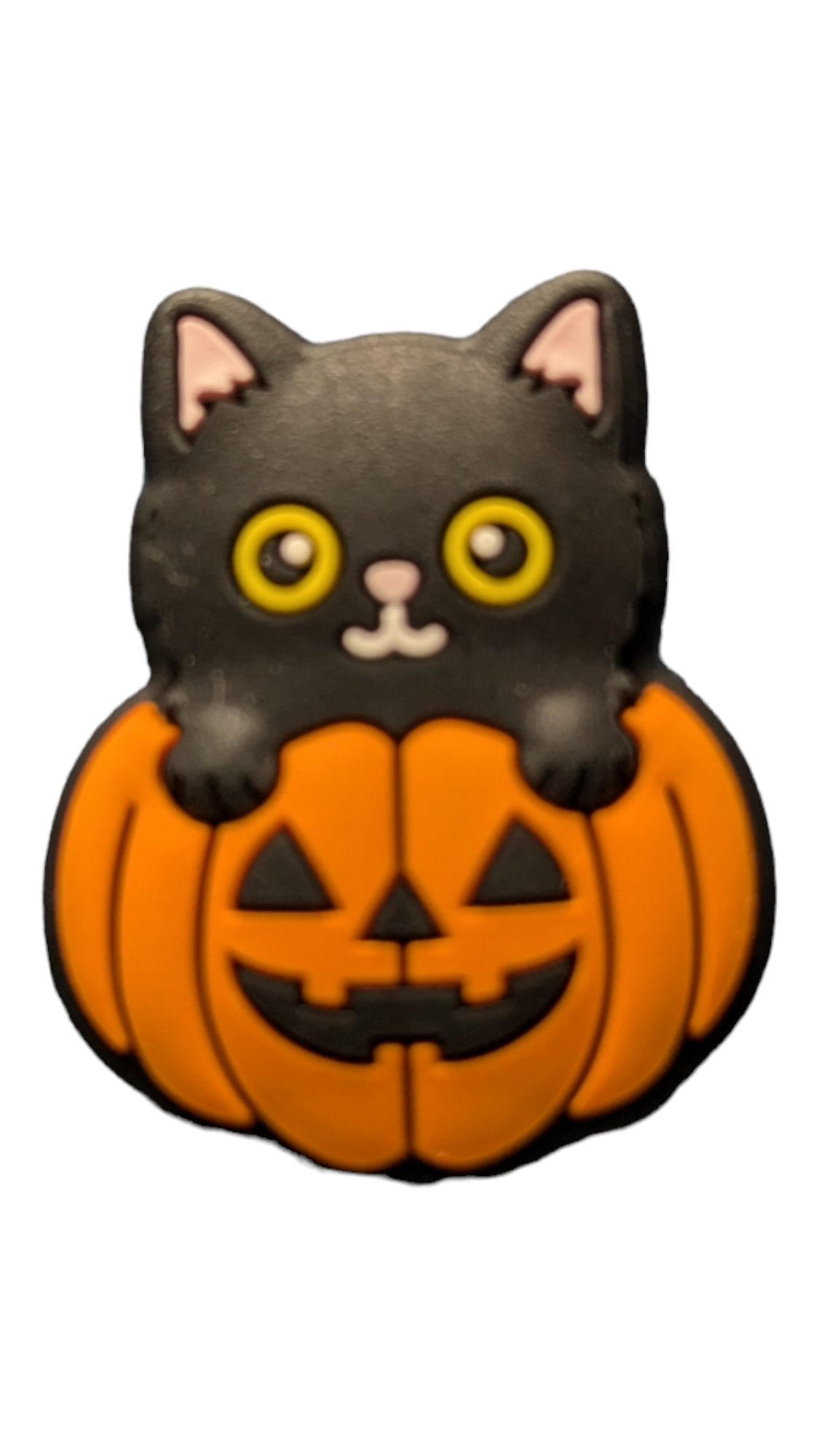 Cat with Pumpkin