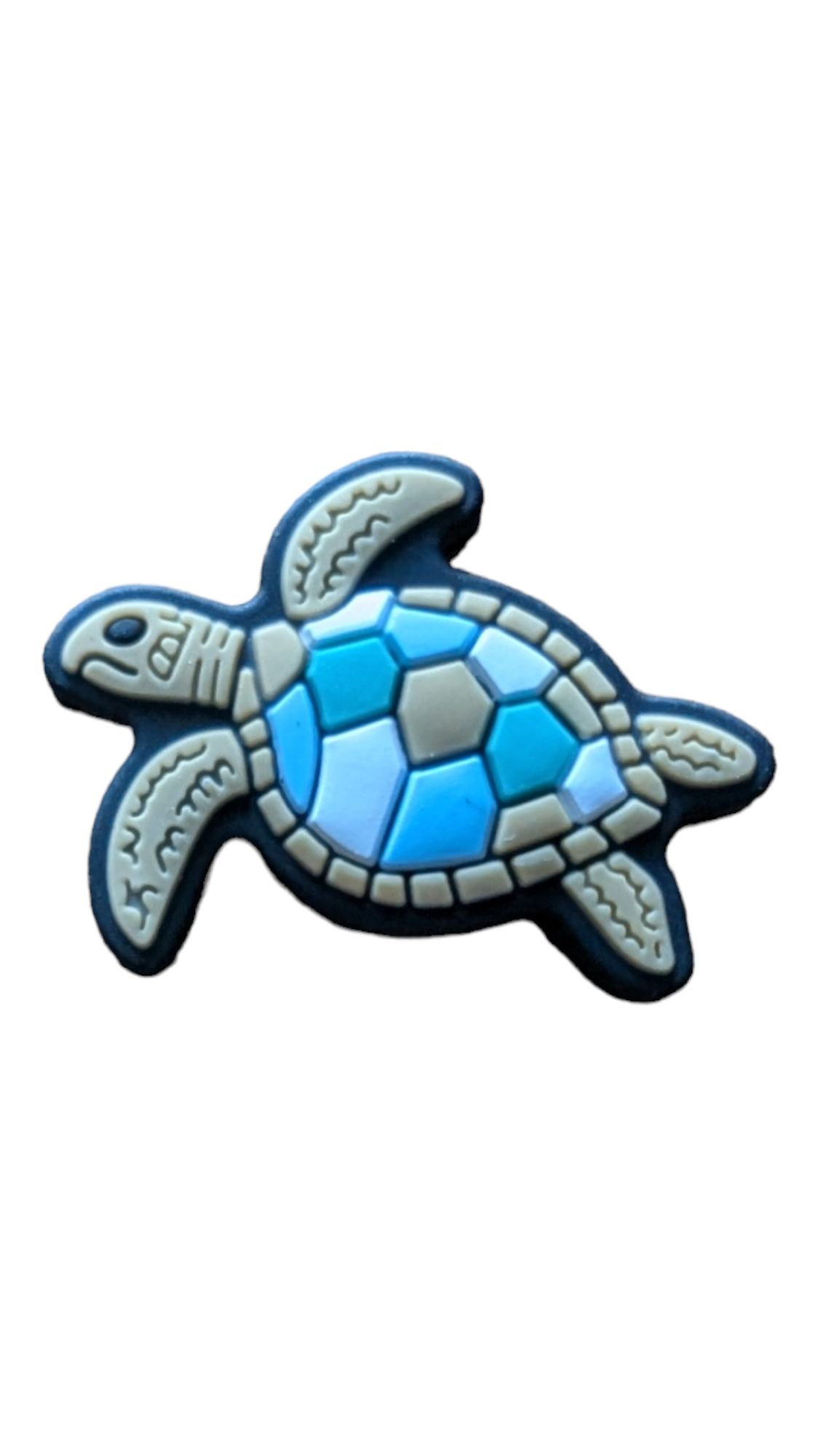 Sea Turtle