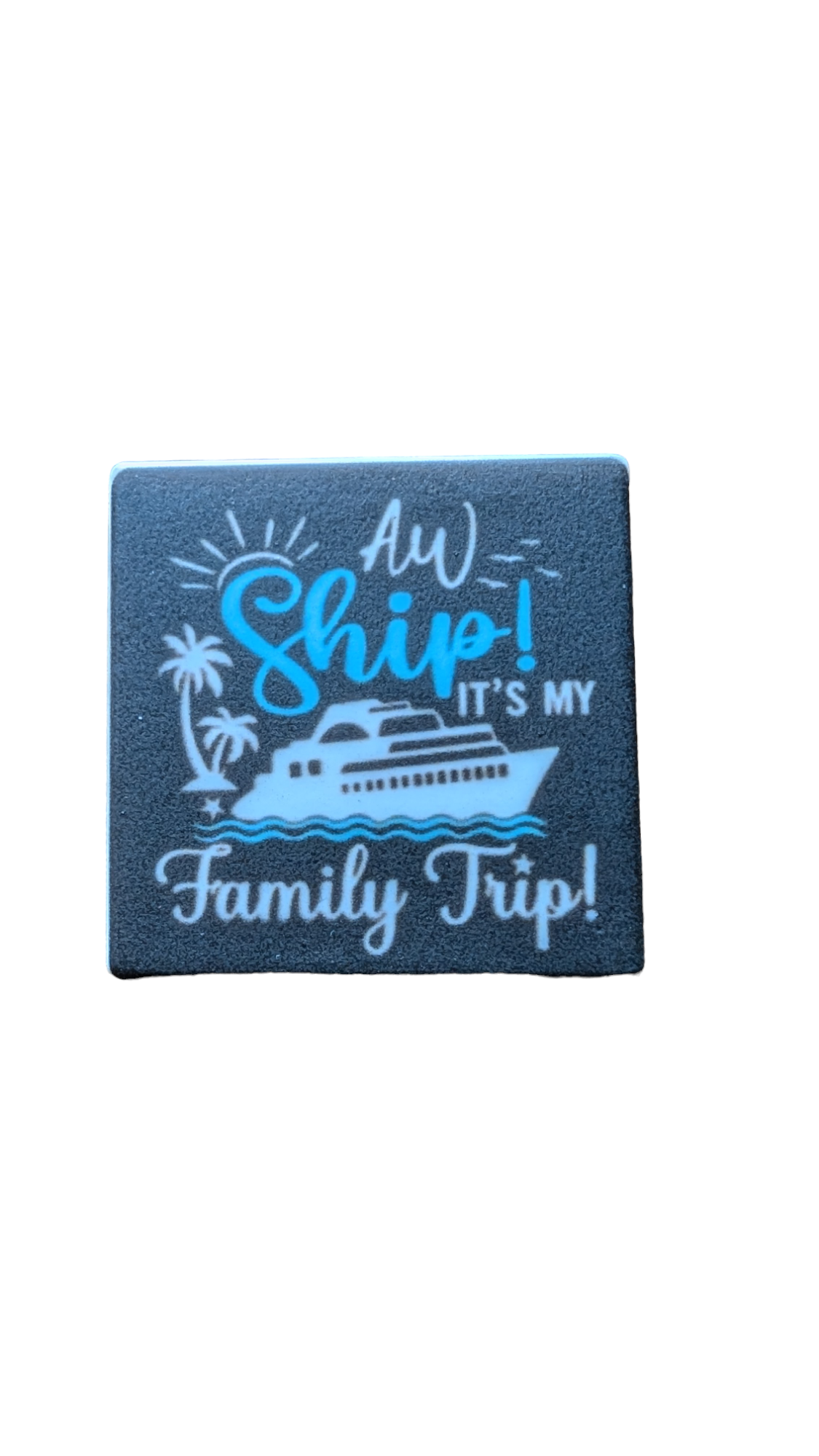 Aw Ship, It's My Family Trip