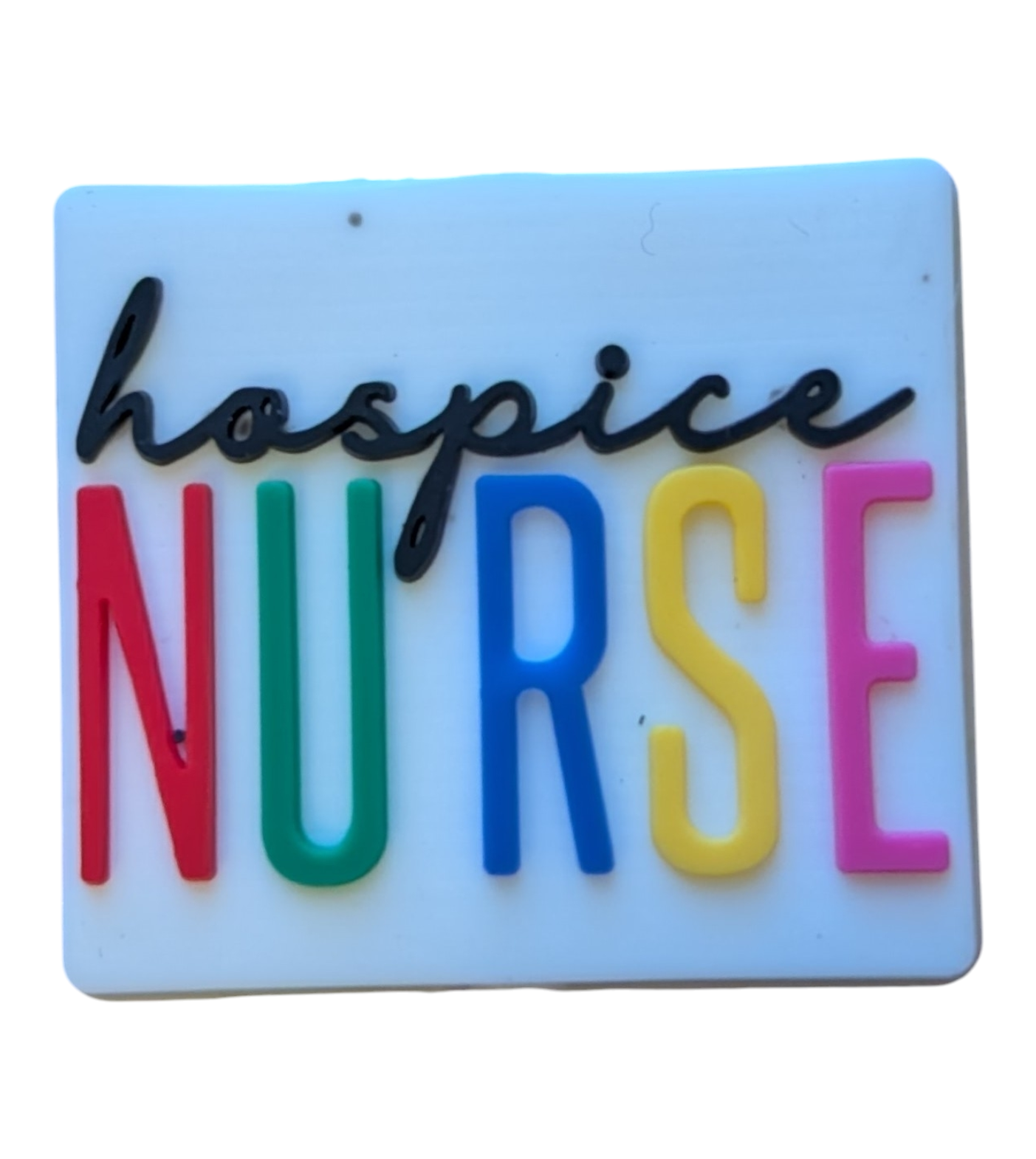 Hospice Nurse