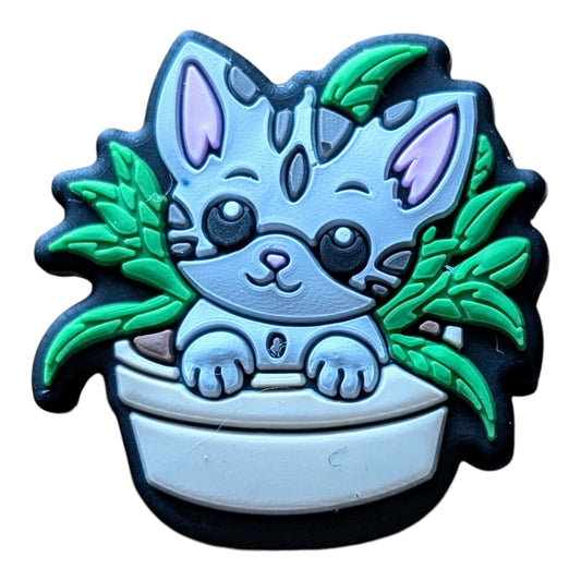 Kitten In Plant